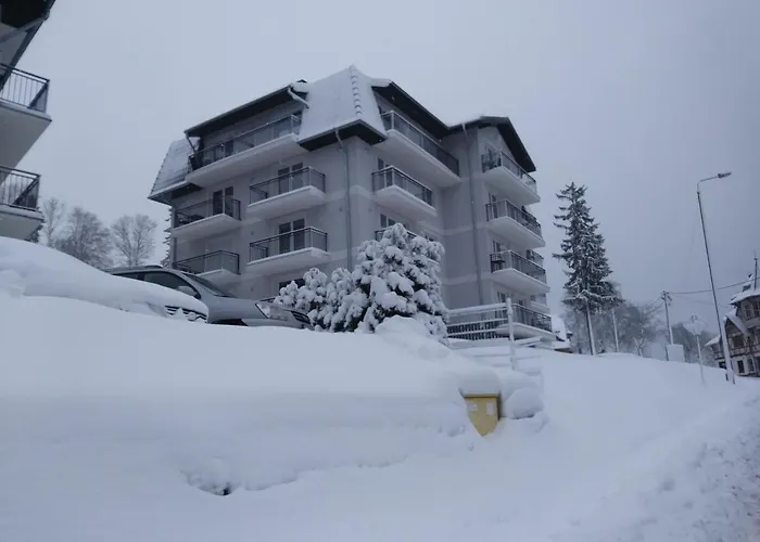 Apartamenty Amika